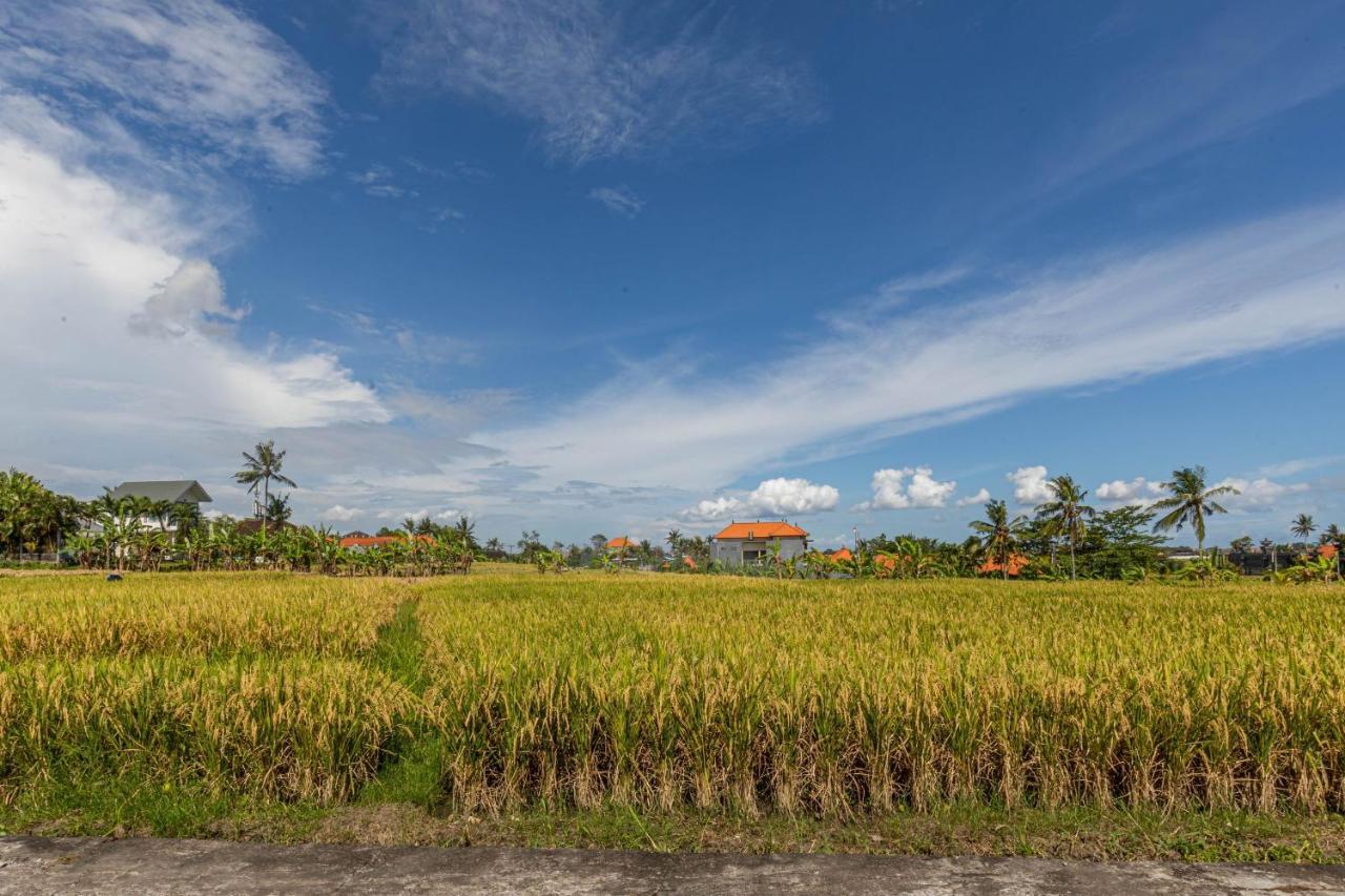 D'Jineng Rice Terrace Canggu Exteriér fotografie